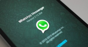 Cara menggunakan quick reply whatsapp