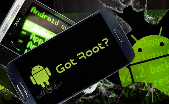 Pengertian, Fungsi, Kelebihan dan Kekurangan Dari Proses Rooting