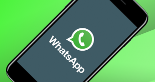 Aplikasi WhatsApp Kini Bisa Langsung Putar Video YouTube