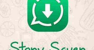 Cara Mudah Simpan Status WhatsApp Teman Tanpa Screenshot
