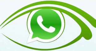 Cara Mudah Lihat Status di Aplikasi WhatsApp Tanpa Diketahui