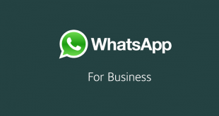 Cara Mudah Mengaktifkan Fitur Balas Pesan Otomatis Di WhatsApp Business
