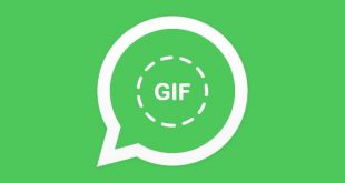 Cara Ubah Video menjadi GIF Dengan WhatsApp