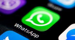 pendeteksi spam whatsapp