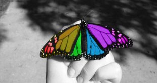 cara membuat color splash android