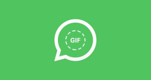 Fitur WhatsApp Yang Memungkinkan Untuk Mengunduh GIF Sebelum Mengirimnya