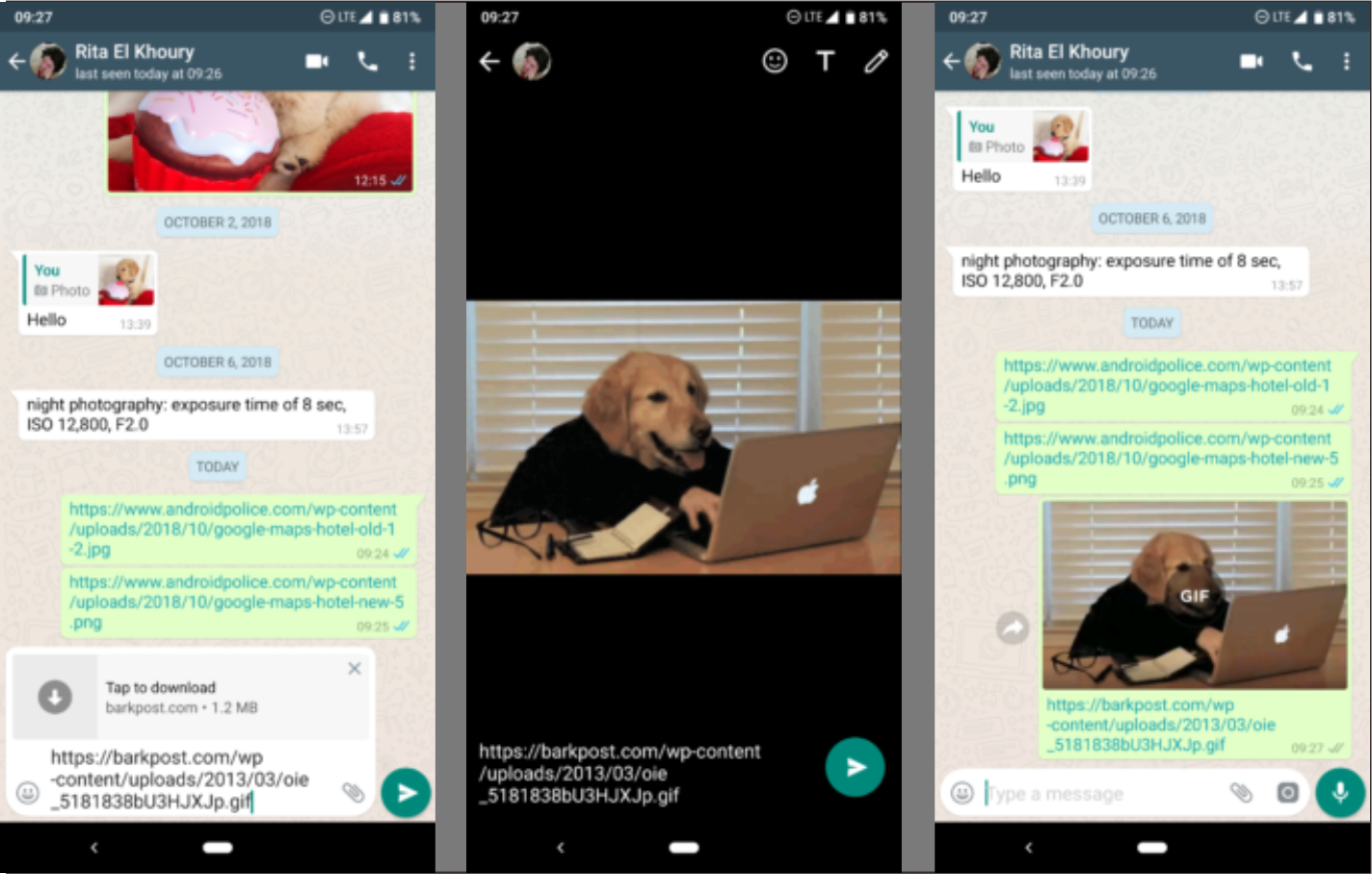 Fitur WhatsApp Yang Memungkinkan Untuk Mengunduh GIF Sebelum Mengirimnya