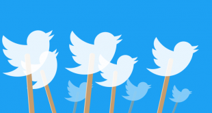 Kini Twitter Bisa Menentukan Jenis spam Yang Akan Dilaporkan