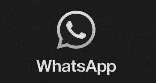 WhatsApp Dark Mode Akan Segera Hadir,update fitur terbaru whatsapp,fitur baru whatsapp,update whatsapp,mode malam whatsapp,dark mode whatsapp