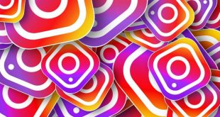 Fitur Baru Instagram “Collection” Akan Segera Luncurkan,fitur baru instagram,febri ardiansyah instagram,febri ardiansyah,instagram bibi ardiansyah,anggita sari instagram,kendall jenner instagram,intan sapta instagram,auto followers instagram indonesia,instagram syahrini,logo whatsapp,syahreino.11 instagram,instagram reino barack,instagram bella luna,instagram verrel bramasta,cewekcantik instagram,og instagram,maia estianty instagraminstagram photo downloadersorotan instagraminstagram natasha wilona,dredown.com instagram,like instagram