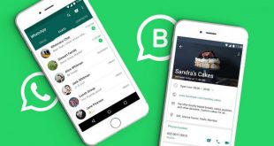 WhatsApp Business Kini Tersedia Untuk iPhone,WhatsApp Business for iPhone, WhatsApp Business iPhone, fitur baru WhatsApp Business iPhone, WhatsApp Business baru untuk iPhone