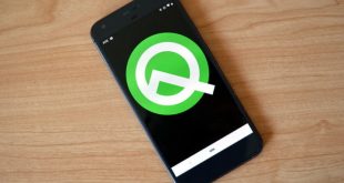 android Q